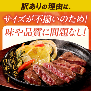 【訳あり】宮崎牛 赤身ステーキ6枚 計600g 牛肉