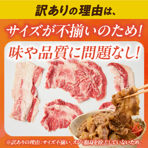 訳あり A4等級以上 宮崎牛切り落とし 500g×2P 計1kg 内閣総理大臣賞 A4 A5 宮崎牛 牛肉 