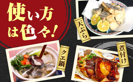 【全12回定期便】 【 対馬産 】 天然 クエ 300g （身のみ）《対馬市》【石川水産】 鍋 水炊き 鮮度抜群 海鮮[WAB035]