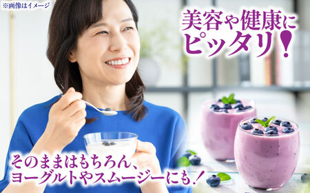 青い宝石国産急速冷凍 ブルーベリー 計約1kg ブルー ベリー BHCX005