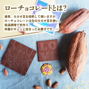 冬季発送 ローチョコレート 9個入り ヴィーガンチョコレートギフト 手提げ袋付き