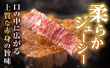 長崎和牛 A5 ヒレステーキ 750g(150g×5) / ヒレ ヒレステーキ ヒレ肉ステーキ ヒレ肉 長崎和牛 A5 希少部位 / 諫早市 / 野中精肉店[AHCW159]