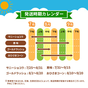 とうもろこし 伊那市産 スイートコーン 約5kg 2Lサイズ 12本入り おひさまコーン 【013-51】