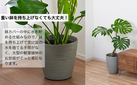 【グレー】大型観葉植物 ≪1鉢≫ 鉢カバー付き 観葉植物