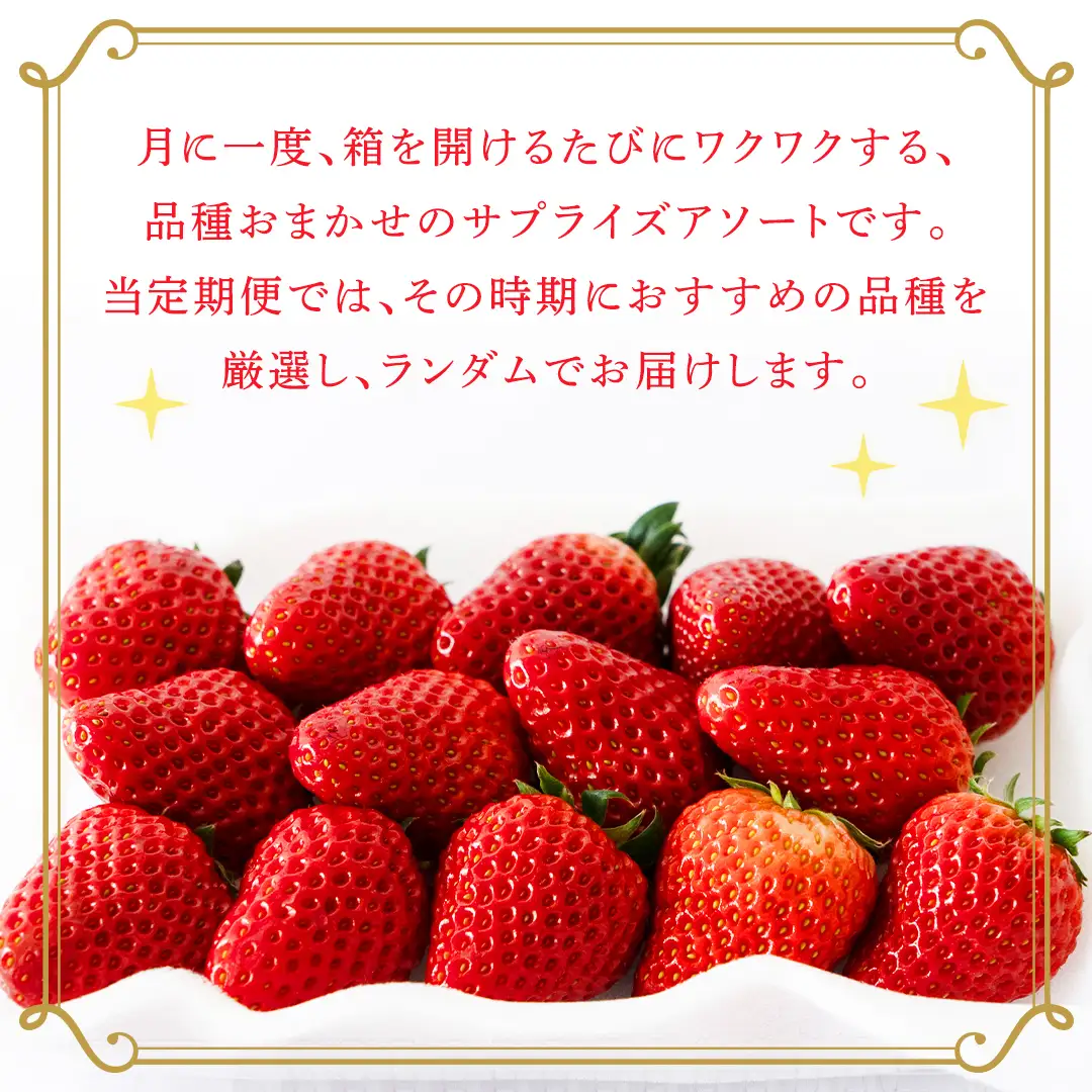 【定期便】いちご3ヶ月連続お届け便 （250g×4パック）×3回　【2027年1月から発送開始】（茨城県共通返礼品 [いちご]：城里町産）