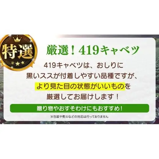 ＜レビューキャンペーン開催中＞＜7月中旬発送開始＞ 【 特選 】 まぼろしの419キャベツ 2玉 [AL020tu]