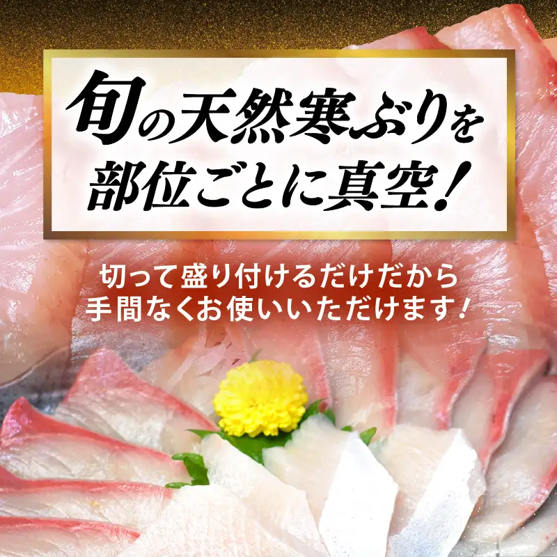【先行予約】若狭・日向の天然寒ブリ 脂たっぷり 部位ごと食べ比べ ALL半身分セット (腹＋背＋トロ+アラ+カマ 計4kg前後）【2026年12月下旬以降順次発送】寒ぶり [m17-j004]