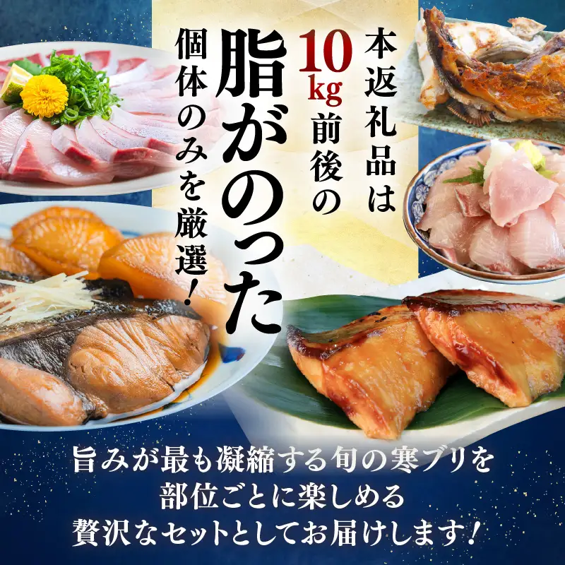 【先行予約】若狭・日向の天然寒ブリ 脂たっぷり 部位ごと食べ比べ  ALL1本分セット (腹＋背＋トロ+アラ+カマ 計6kg前後) 【2026年12月下旬以降順次発送】寒ぶり [m17-m002]