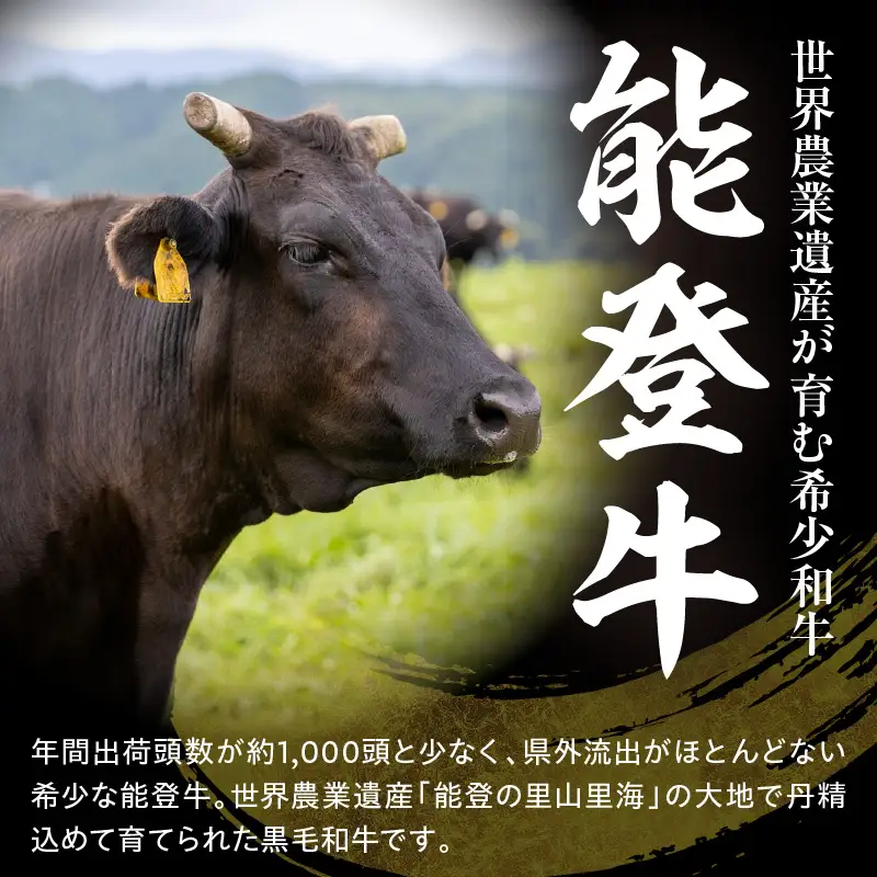 能登牛切り落とし 500ｇ×2　wa121　能登牛　切り落とし　和牛
