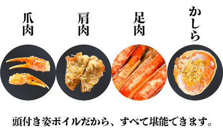 本ズワイガニ 頭付き 訳あり3kg(4杯) 塩竈市 塩釜水産食品 かに 蟹 カニ ズワイガニ