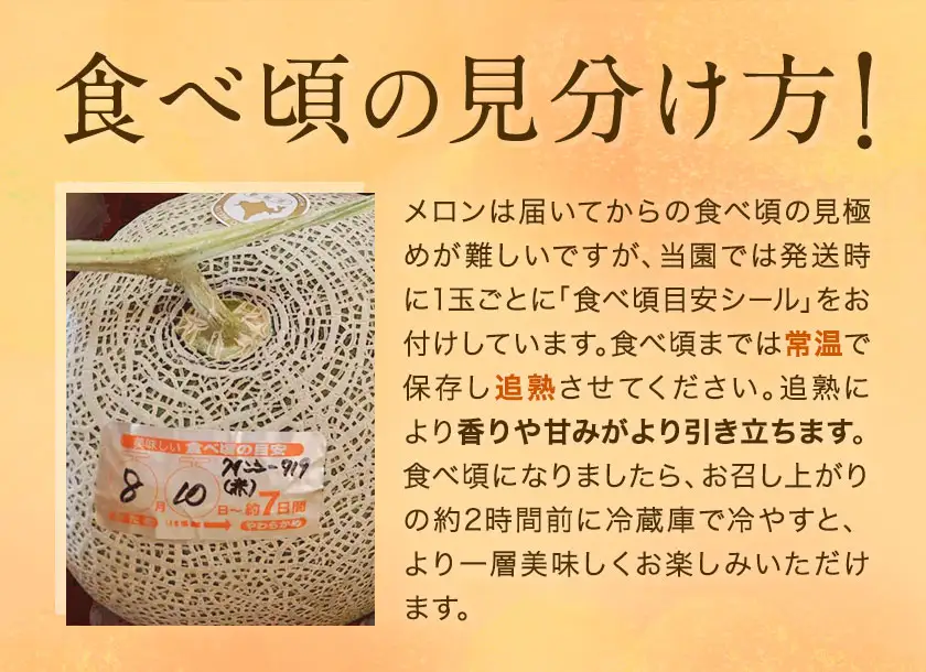 先行予約 日高メロン  1玉 のざわ農園 《7月上旬-8月中旬出荷》