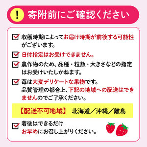【 先行受付 】 紅ほっぺ 1kg いちご 【紅ほっぺ】