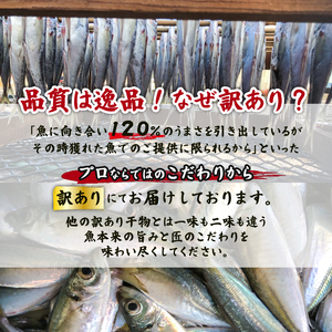 【 訳あり 先行予約】 干物セット  2～4種 500g  極上 詰め合わせ HM0001