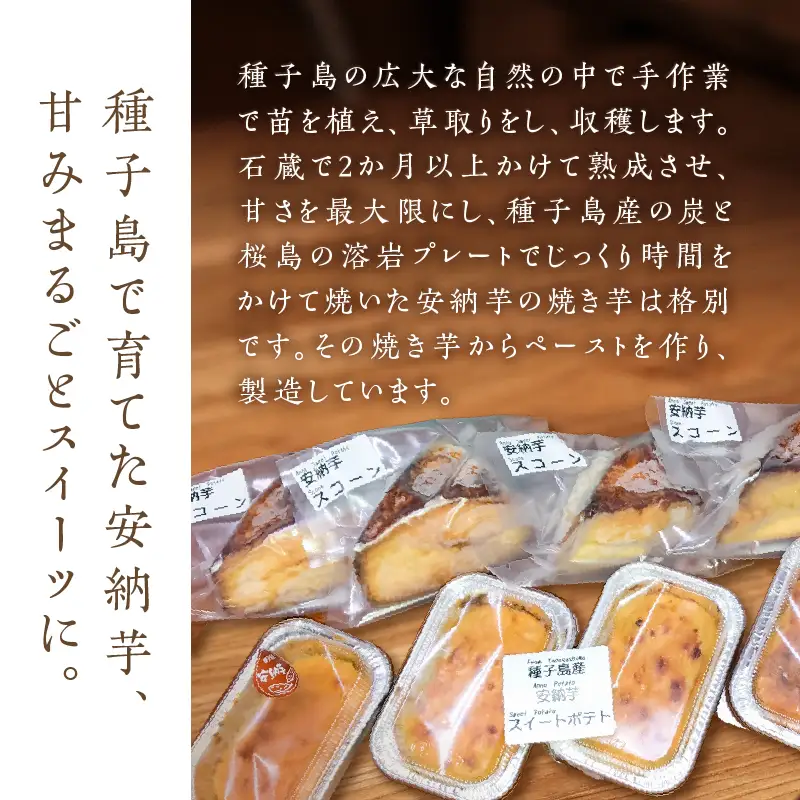 種子島産 安納芋 スコーン ＆ スイートポテトセット K366-002 デザート おやつ 手作業 はるちゃんfactory ふるさと納税 鹿児島 おすすめ ランキング プレゼント ギフト
