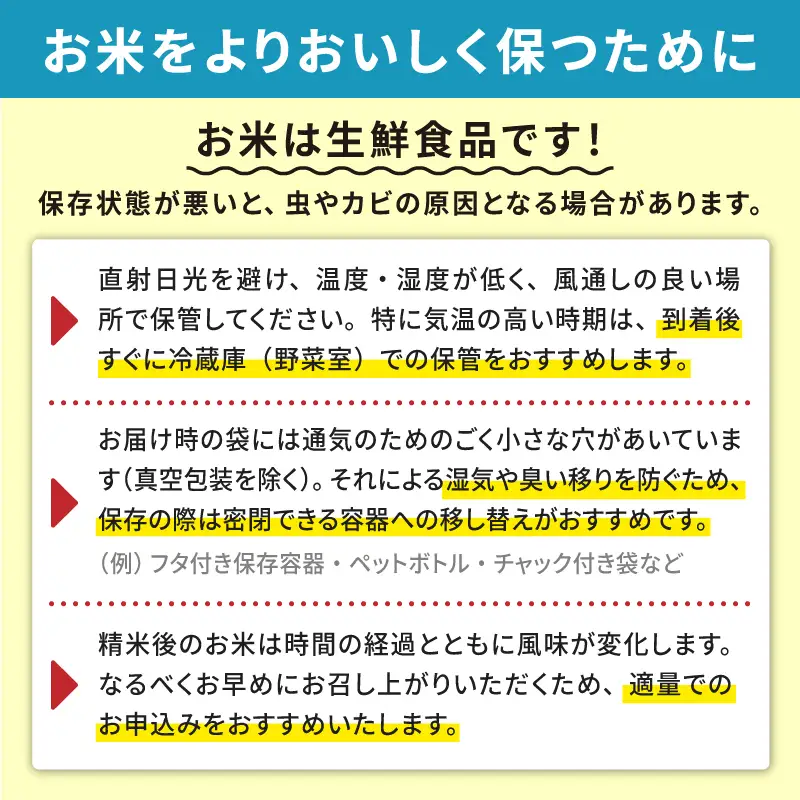 《先行予約》【12ヶ月定期便】無洗米 令和8年産 あきたこまち 10kg 無洗