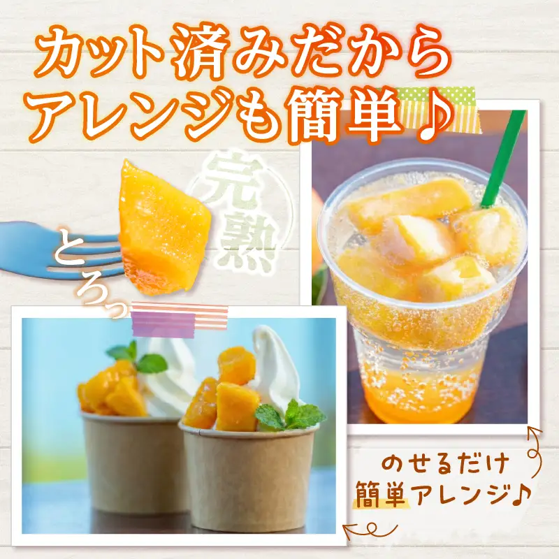 冷凍 カット マンゴー 計600g_CA94-25
