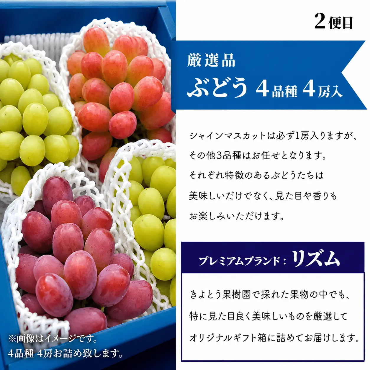 桃、ぶどう、梨の最上級品を旬にお届けする3回便！ (定期便)(岡山県産) 【KF-T033-01】