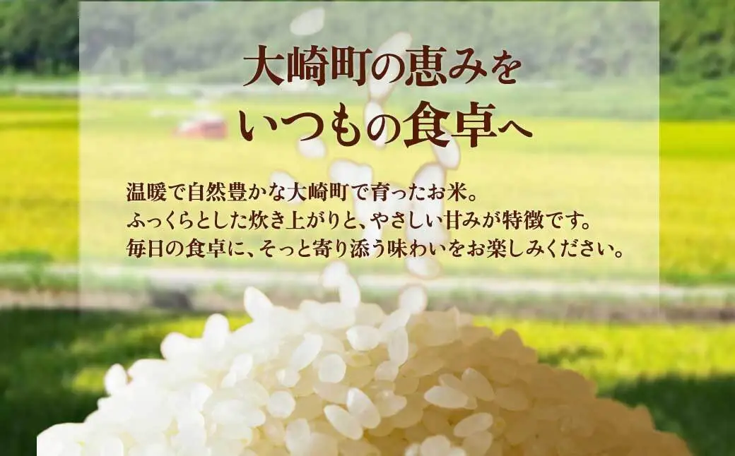 【精米】 新米先行受付 大崎産 新宮ほのか米 （なつほのか）5kg