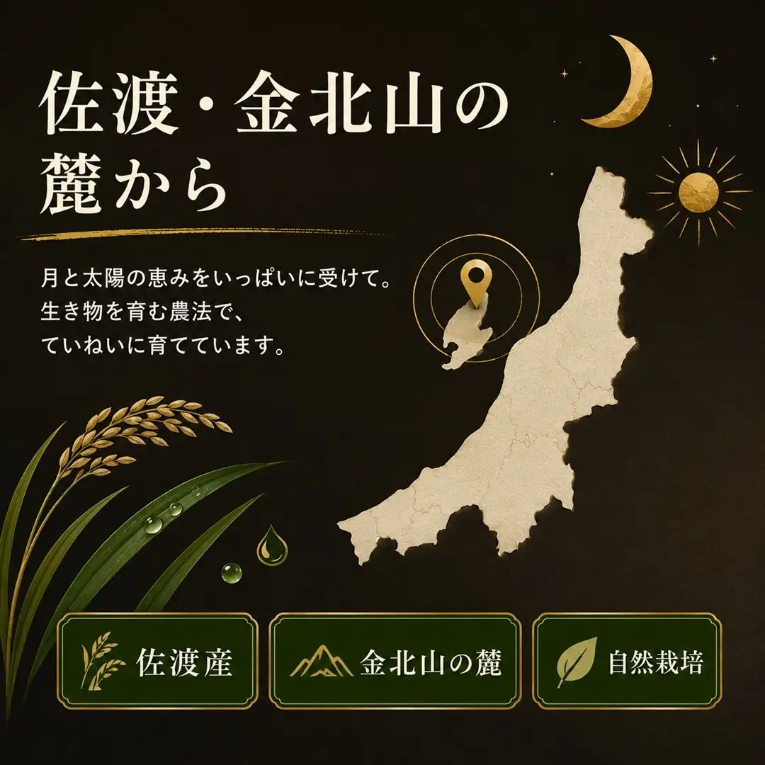 【佐渡産 こだわりの自然栽培米】令和7年度産 コシヒカリ 白米5kg