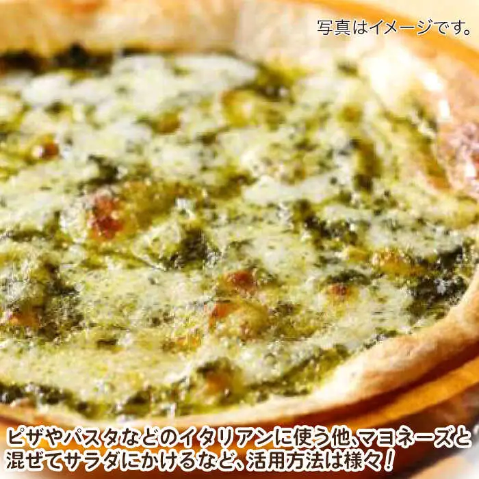 【2027年1月?発送】【愛情たっぷり】バジルペースト×3本 / 南島原市 / ふくはちファーム/福島農園 [SBS026]