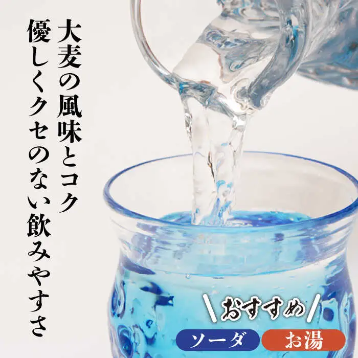 【3年以上貯蔵熟成！】本格 麦焼酎 青一髪 25° 900ml×12本 / 麦焼酎 むぎじょうちゅう 焼酎 麦 しょうちゅう むぎ 酒 お酒 さけ ギフト プレゼント 贈り物 / 南島原市 / 久保酒造場 [SAY001] 
