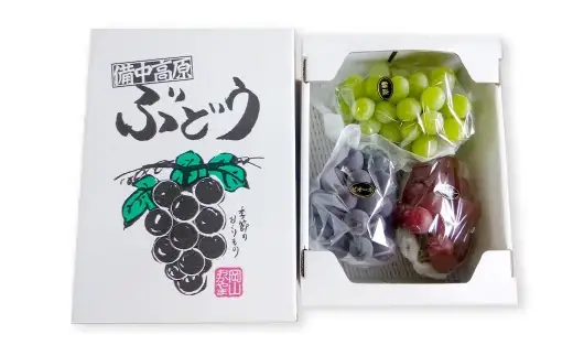 訳あり 大粒 ぶどう 3種 セット 3～4房 計約1.8kg シャインマスカット・ピオーネ等 おまかせ【2026年10月上旬から12月下旬頃迄発送予定】 ／  マスカット ピオーネ 葡萄 ブドウ 種無し 種なし