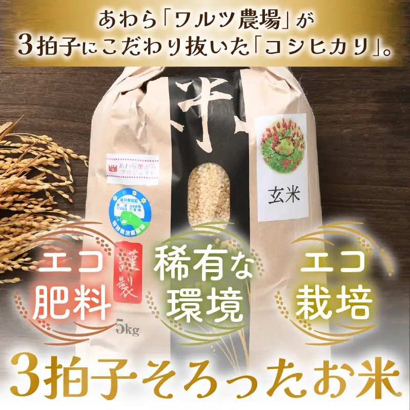 【先行予約】【令和8年産 新米】ワルツ農場の直播き コシヒカリ 玄米 5kg / お米 ご飯 つや 艶 甘味 旨み あわら市産 福井県産 慣行栽培 コメ 北陸 福井県 あわら市 ※2026年10月下旬以降発送予定 [aw046-a006]