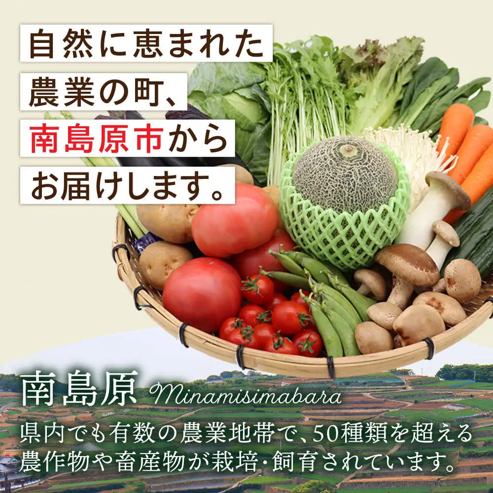 【6回定期便】【奇数月コース】野菜定期便 15品目以上 野菜 定期便[SCZ002]
