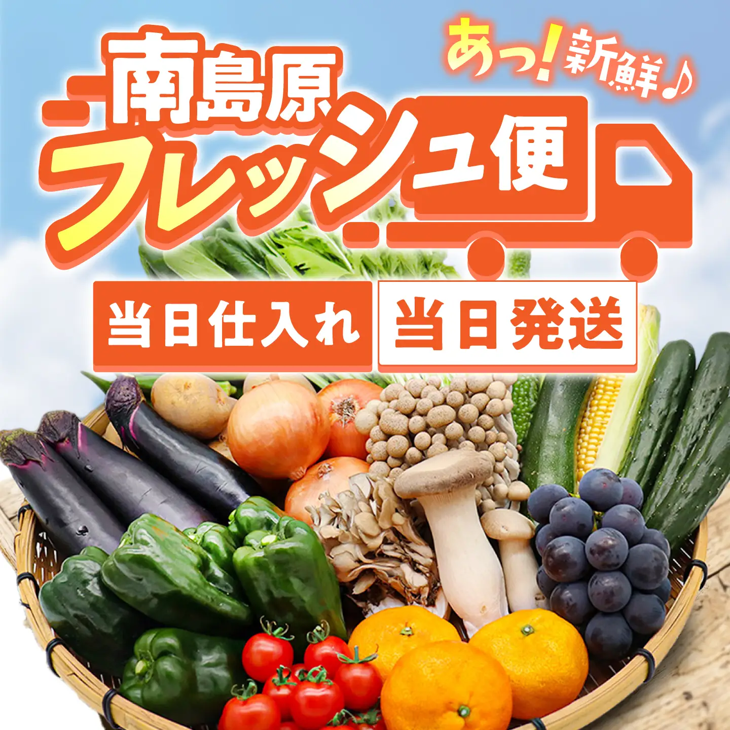 【12回定期便】野菜定期便15品目以上 [SCZ019] 