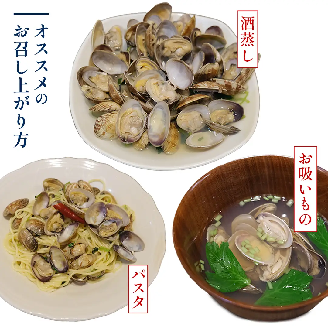 【先行予約】届いてすぐ調理！ 砂抜き済み 国産 あさり 約1kg ( 約500g × 2袋 小分け ) 2027年4月～5月 発送予定 冷蔵