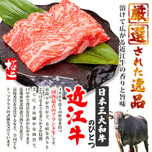 近江牛 赤身ステーキ 200g 100g×2枚 ステーキ 牛肉