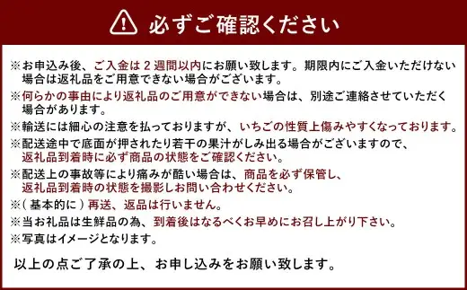 大粒あまおう 約250～270g × 2パック （計500～540g） 【2027年2月上旬～4月下旬発送予定】 あまおう 苺 いちご イチゴ くだもの 果物 フルーツ 国産 福岡県産 福岡県 太宰府市 冷蔵