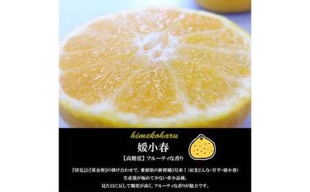 【希望の島】 媛小春 特選品 2kg 愛媛県 松山市 中島産 ひめこはる 柑橘 みかん 贈答用 果物 くだもの フルーツ デザート 国産 常温 【2027年3月上旬-3月下旬迄発送予定】（1018）