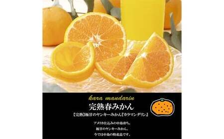 【希望の島】 完熟春みかん （カラマンダリン） 特選品 中玉 2kg 愛媛県 松山市 中島産 みかん ミカン 柑橘 贈答用 果物 くだもの フルーツ デザート 国産 常温 【2027年5月上旬-6月下旬迄発送予定】（1023-1）