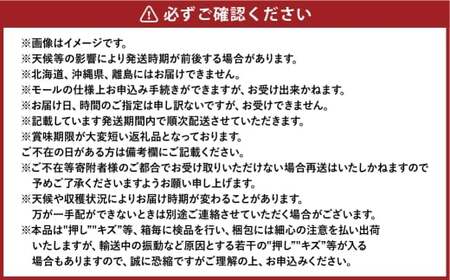 岡山白桃 エース 5～10玉 約2kg 岡山県産 【2026年7月上旬～8月下旬まで順次発送予定】 モモ もも 桃 白桃 果物 フルーツ 岡山県 倉敷市