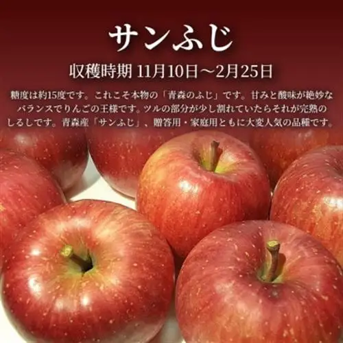【青森直送 季節の味覚をお届け!】サンふじ 3個入×6箱(贈答用)青森産 産地直送 限定生産【配送不可地域：離島】【1700924】