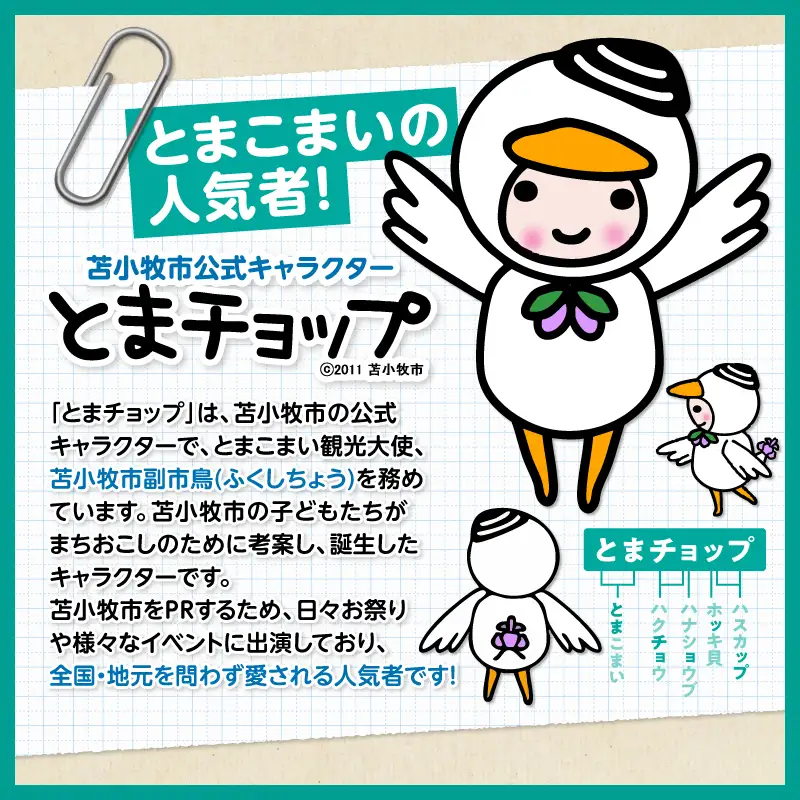 鉛筆 3本 セット T042-030 雑貨 文房具