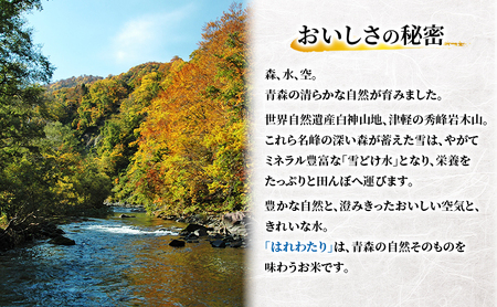 【2ヶ月定期便】【令和8年産新米先行予約】はれわたり 10kg(5kg×2袋) ×2回 計20kg 米 お米 白米 精米 ブランド米 単一原料米 5キロ 青森県産 はれわたり 青森県 鰺ヶ沢町