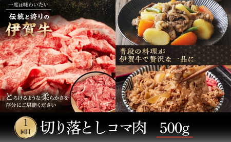 伊賀牛 定期便 3ヶ月 各部位 詰め合わせ 伊賀牛