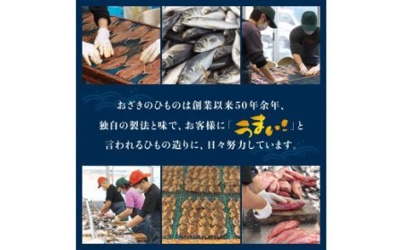 干物セット 訳あり25点以上 おざきのひもの 【ozk102-1】