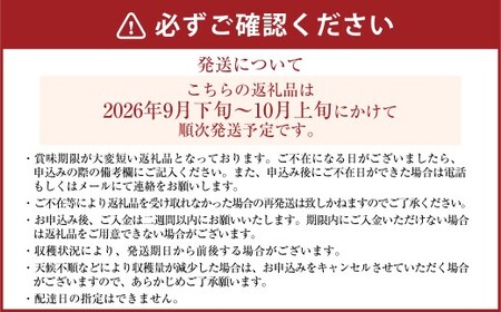 《先行予約》｢丸坂山田農園｣ 山之上梨 新高 1箱 （ 約3.5kg ／ 3～6玉 ） 【2026年9月下旬～10月上旬 発送予定】