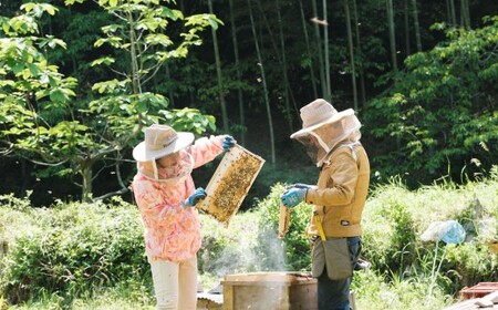 あさひのはちみつ　200g （初夏の色）