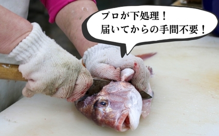 下処理済み 天然魚・切り身・アラセットC タレ付き 岬だより