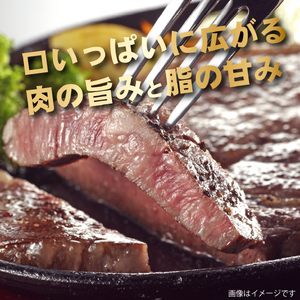 【新鮮チルド発送!!】A5等級宮崎牛特選サーロインステーキ 2枚 400g（黒毛和牛 牛肉 宮崎牛 A5 サーロイン ステーキ 焼肉 宮崎県） 