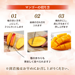 【2026年発送 先行予約】生産農家応援・濃厚果肉 みやざき完熟マンゴー 2L×3玉（マンゴー フルーツ アップルマンゴー 果物 くだもの 2026 先行受付 宮崎）
