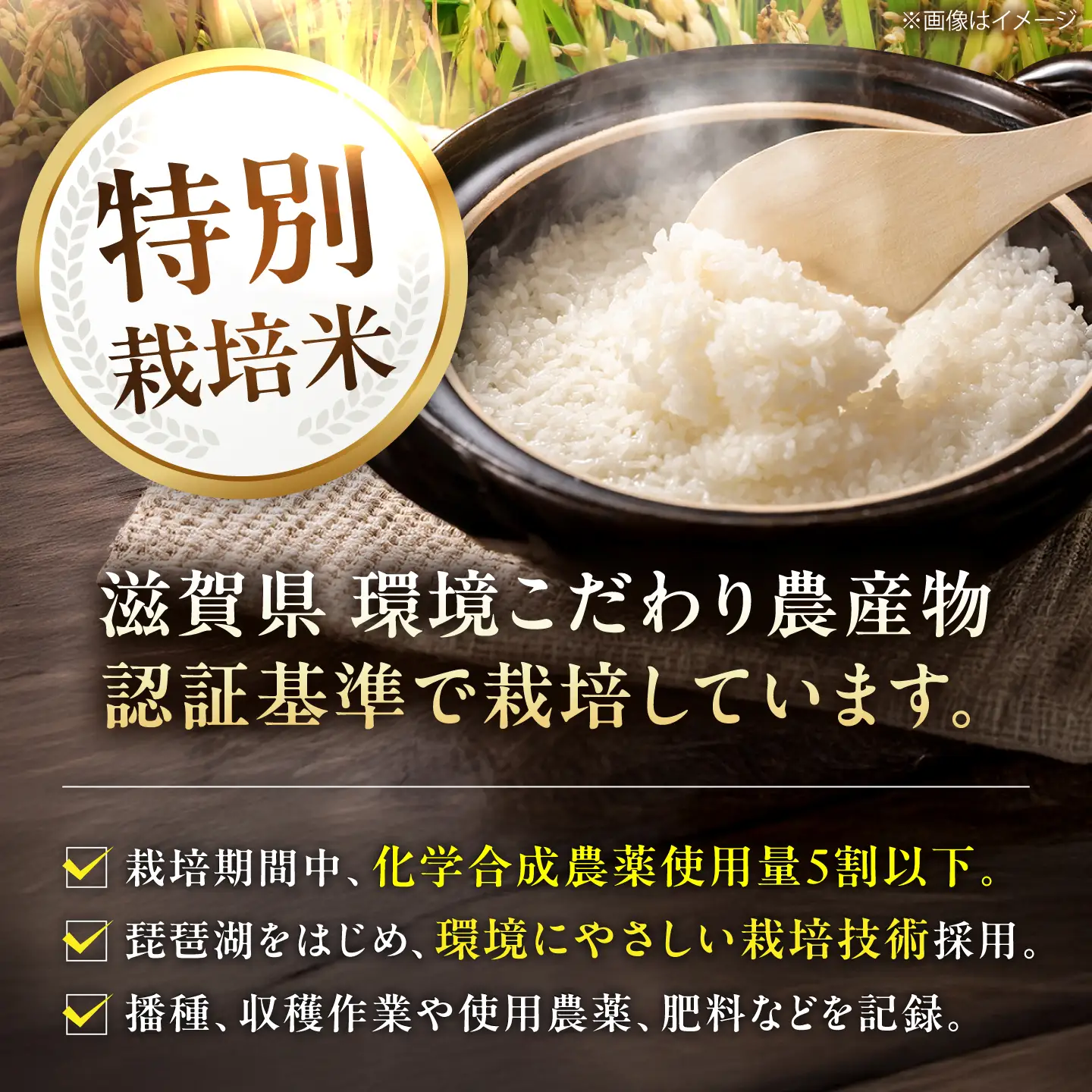 コシヒカリ5kg BIBV008 コシヒカリ