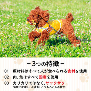小型犬用ドライフード (計800g・400g×2袋) ドッグフード ペットフード 犬 総合栄養食 【EC15】【天然素材】