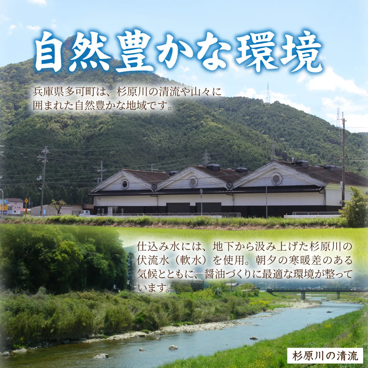 国産丸大豆 淡口醤油 2本セット / 醤油