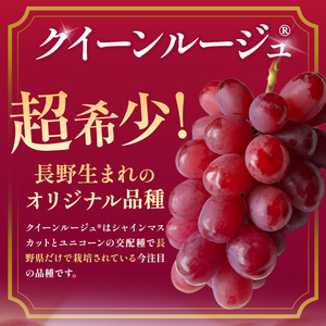 【先行受付】信州産 クイーンルージュⓇ家庭用 約1.2kg(2房～3房)