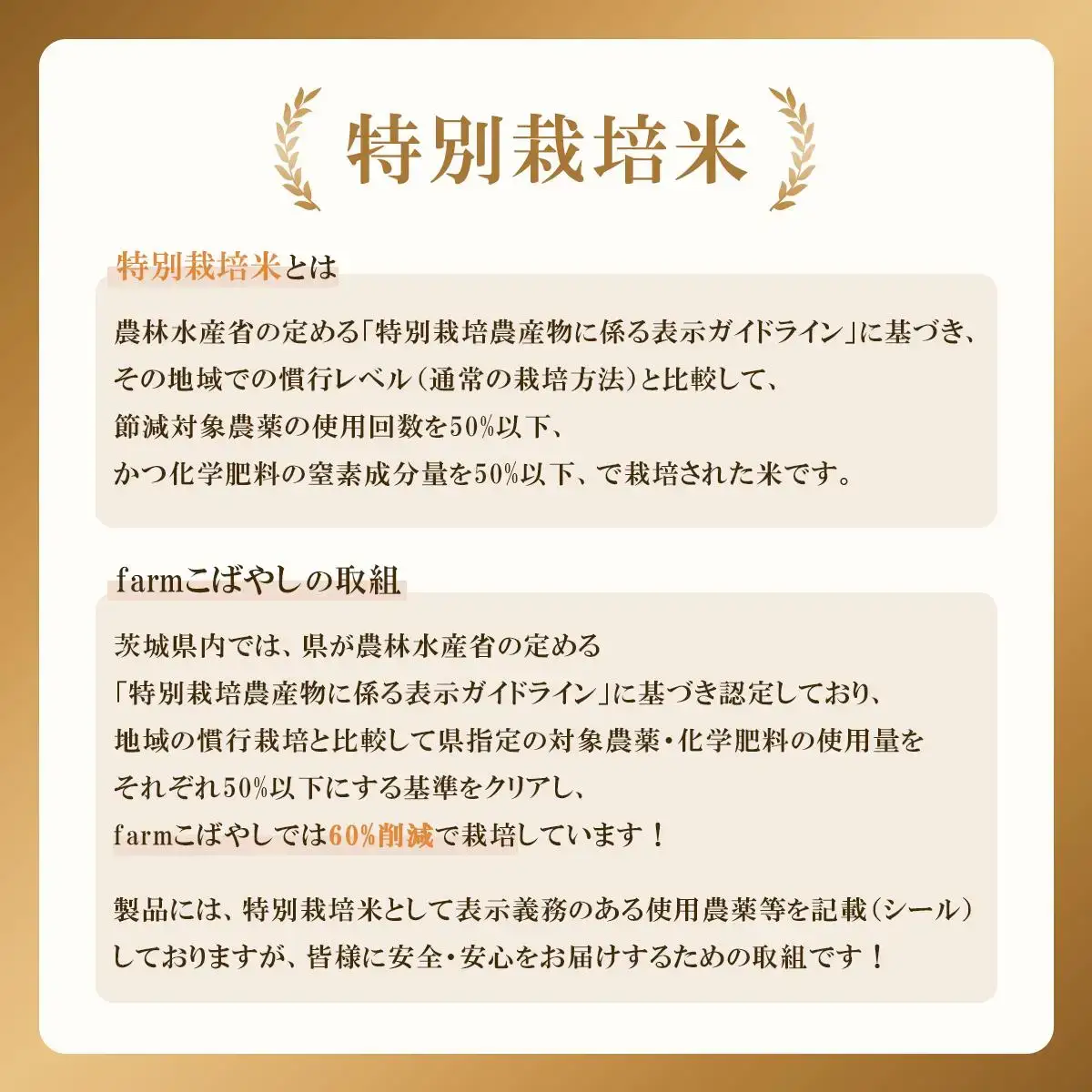 ミルキークイーン 新米 白米 5kg 12月出荷 真空パック